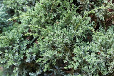 1644062368379541.jpg 1644062368379541.jpg