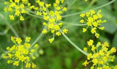 1644063309227308.jpg 1644063309227308.jpg