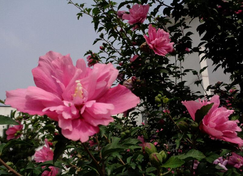 1644075879192049.jpg 1644075879192049.jpg