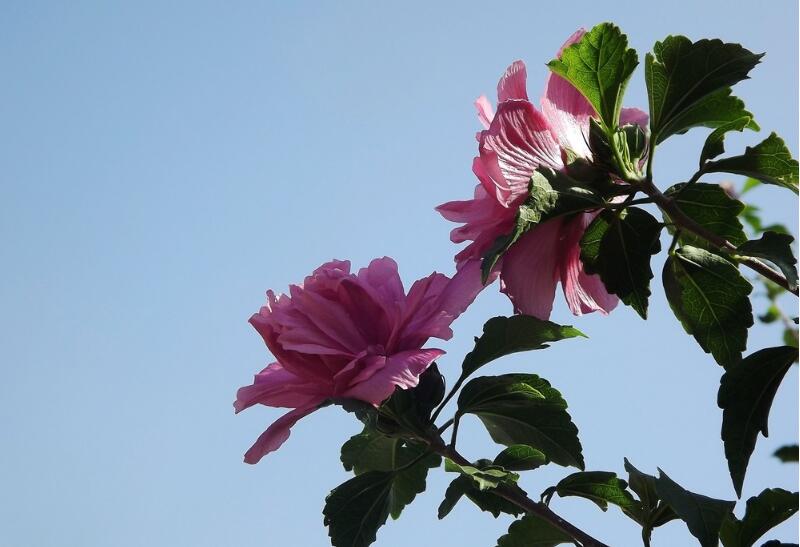 1644075879361137.jpg 1644075879361137.jpg