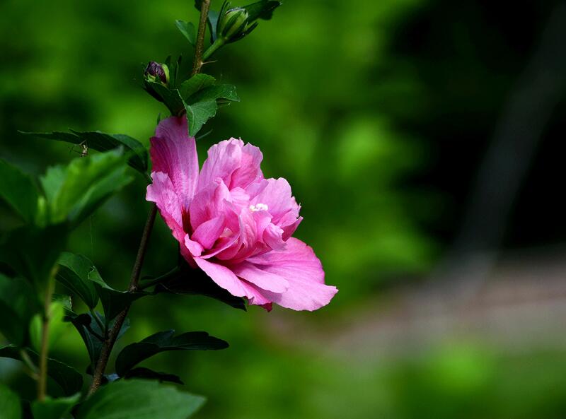 1644077733727398.jpg 1644077733727398.jpg