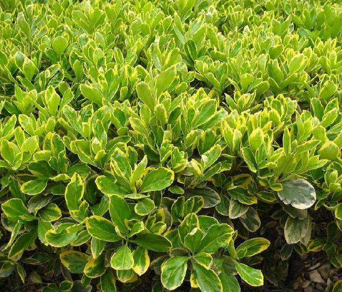 1644080189212924.jpg 1644080189212924.jpg