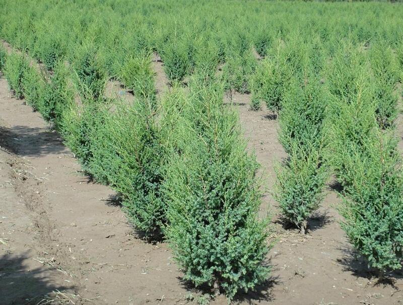 1644081229291828.jpg 1644081229291828.jpg