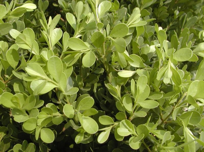 1644118246197862.jpg 1644118246197862.jpg