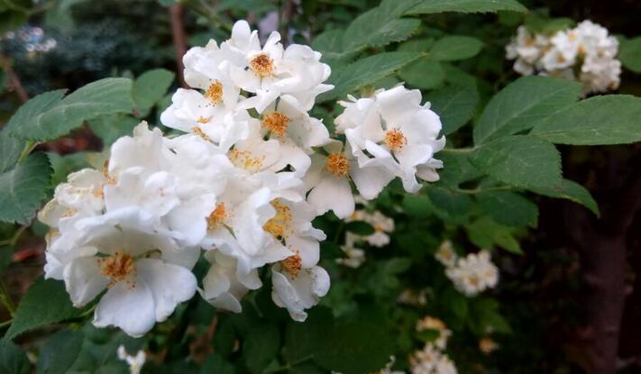 1644118300682086.jpg 1644118300682086.jpg