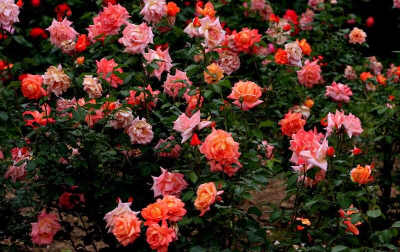 1644121407635151.jpg 1644121407635151.jpg