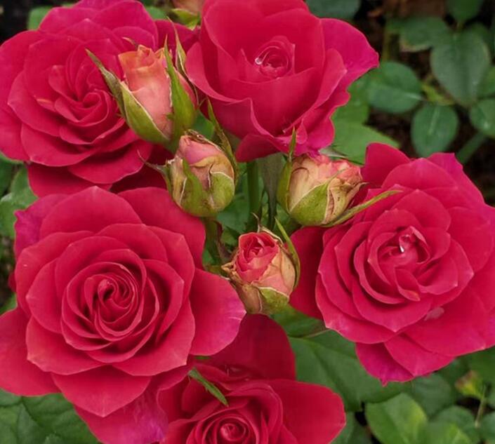 1644122278220589.jpg 1644122278220589.jpg