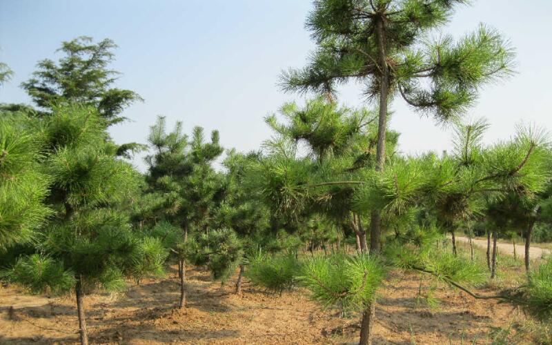 1644124315658489.jpg 1644124315658489.jpg