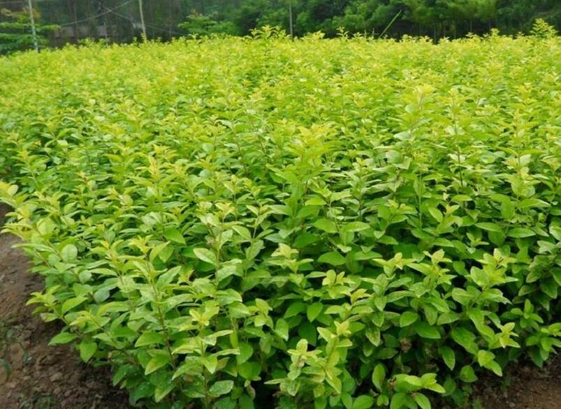 1644215616170838.jpg 1644215616170838.jpg