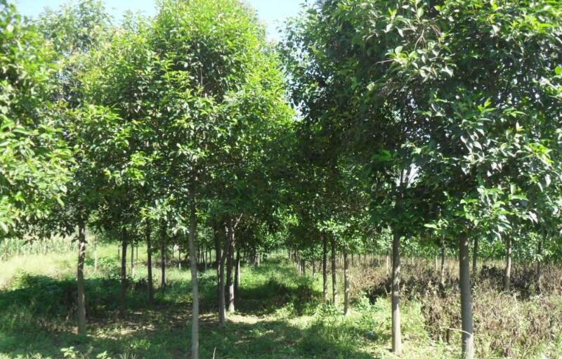 1644215616314121.jpg 1644215616314121.jpg