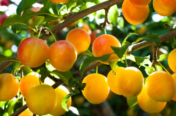 1644221826333754.png 1644221826333754.png