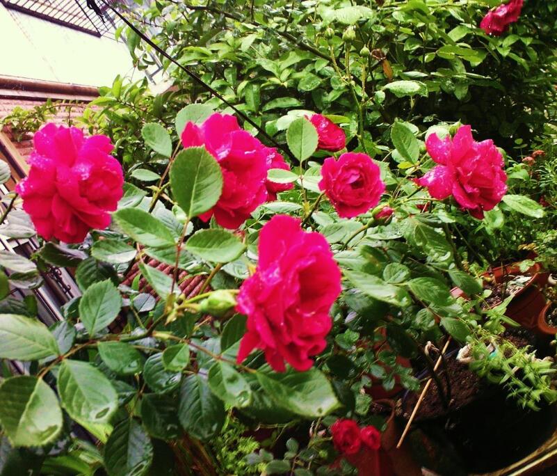 1644222152842707.jpg 1644222152842707.jpg