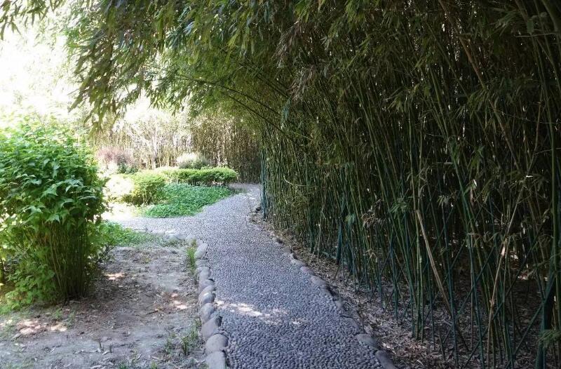 1644222779931371.jpg 1644222779931371.jpg