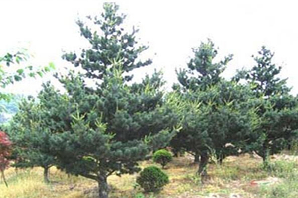 1644234109184626.jpg 1644234109184626.jpg