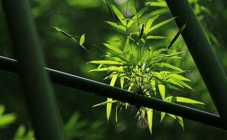 1644234296718626.jpg 1644234296718626.jpg