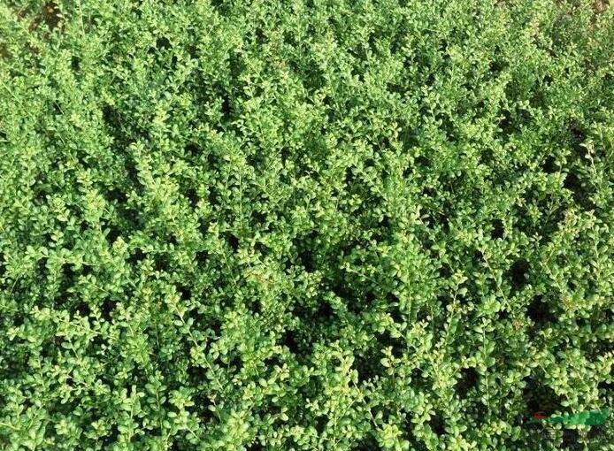 1644289560318442.jpg 1644289560318442.jpg