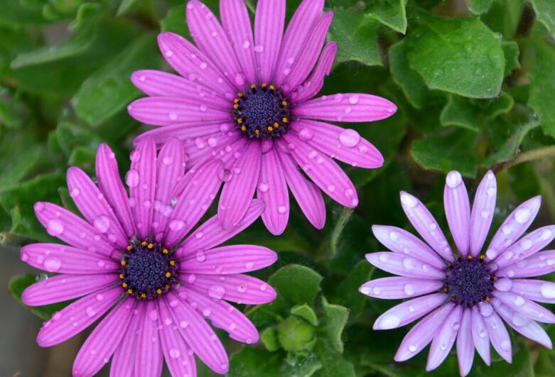 1644316044606294.jpg 1644316044606294.jpg