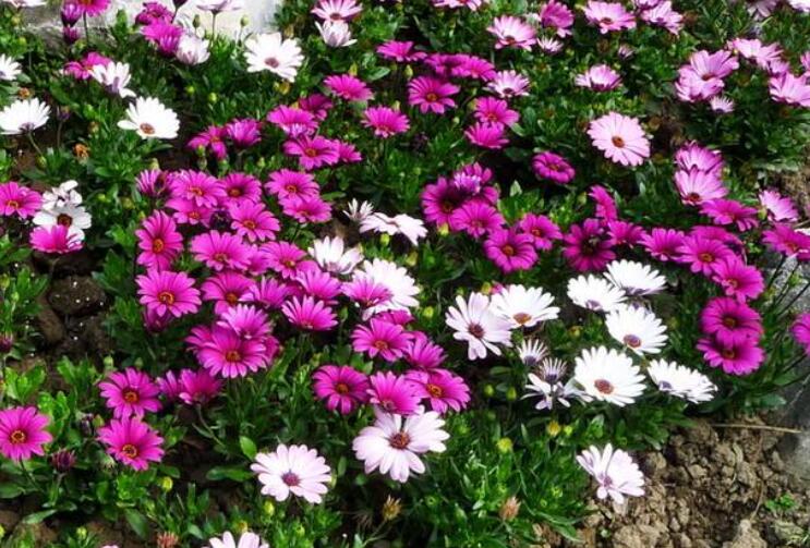 1644316059149088.jpg 1644316059149088.jpg