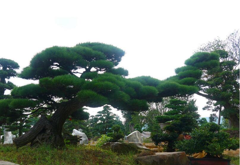 1644730411775668.jpg 1644730411775668.jpg