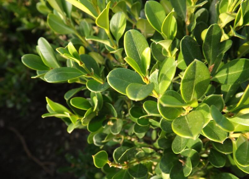 1644730778962187.jpg 1644730778962187.jpg