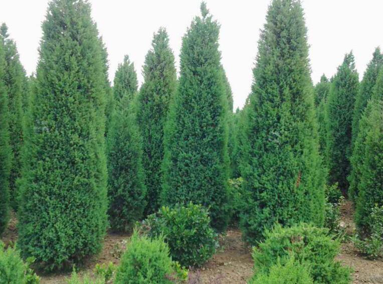 1644758593548177.jpg 222.jpg