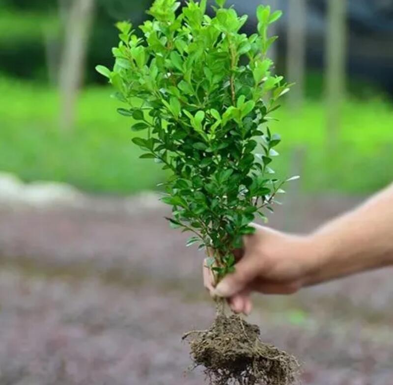 1644898825658873.jpg 1644898825658873.jpg