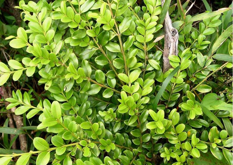 1644898826486709.jpg 1644898826486709.jpg