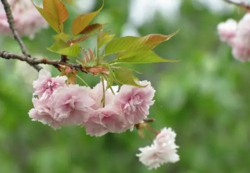 1644899497207241.jpg 1644899497207241.jpg