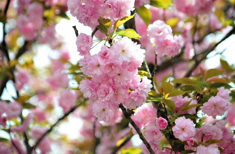 1644899497419060.jpg 1644899497419060.jpg