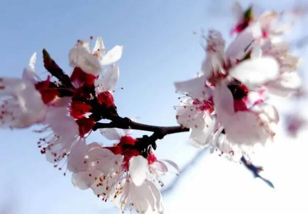 1644902713871959.jpg 1644902713871959.jpg