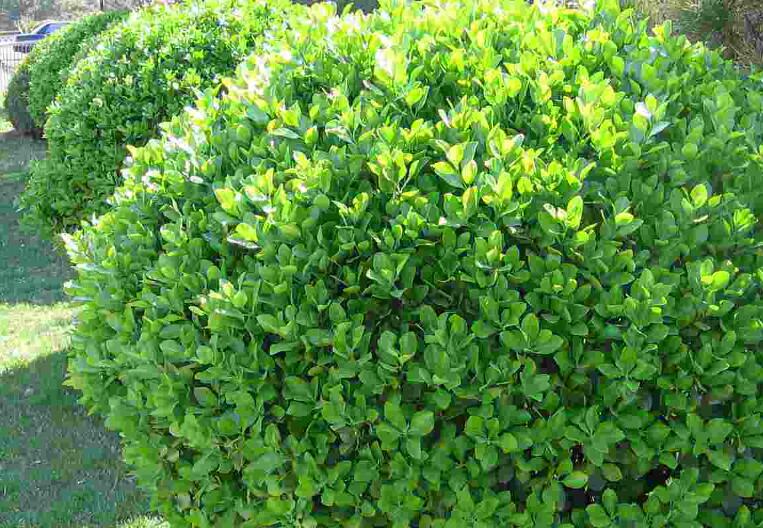 1644937497965312.jpg 3.jpg