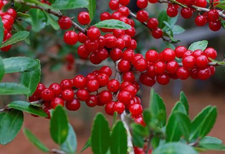 1644938466219815.jpg 3.jpg