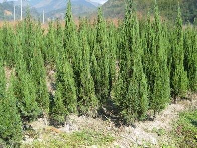 1645004851898432.jpg 1645004851898432.jpg