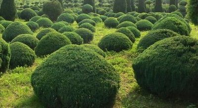 1645007488975124.jpg 1645007488975124.jpg