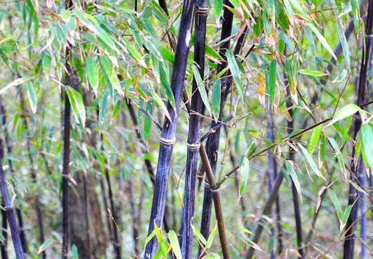 1645103782882622.jpg 1.jpg