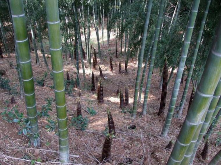 1645103797248964.jpg 3.jpg