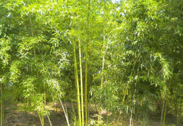 1645106144833748.jpg 2.jpg