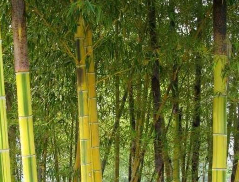 1645106154287755.jpg 3.jpg