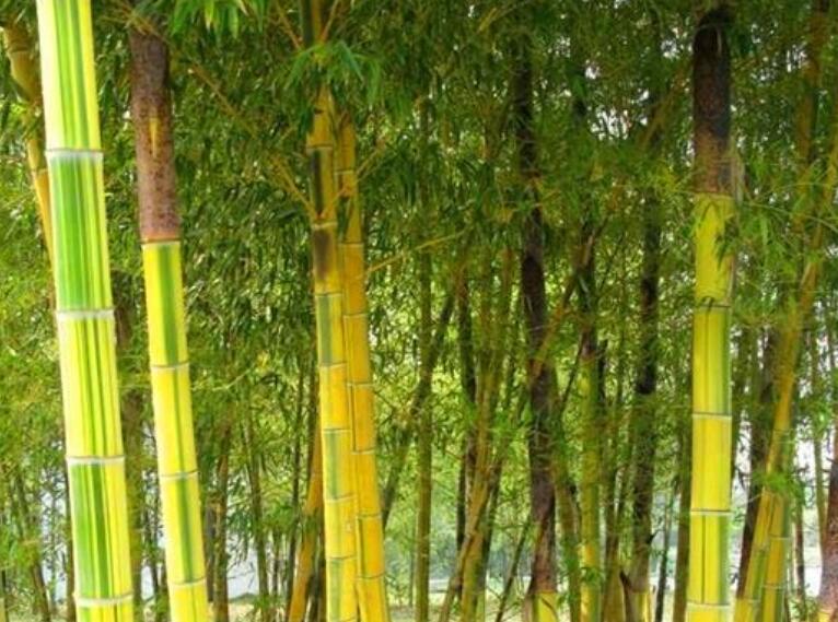 1645168060593593.jpg 1.jpg