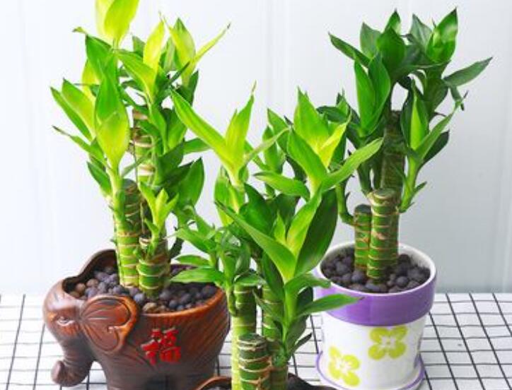 1645168068515164.jpg 2.jpg