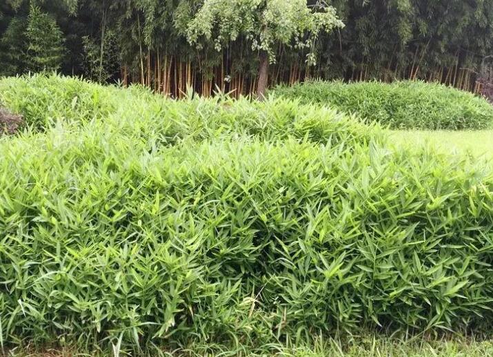 1645168699426229.jpg 1645168699426229.jpg