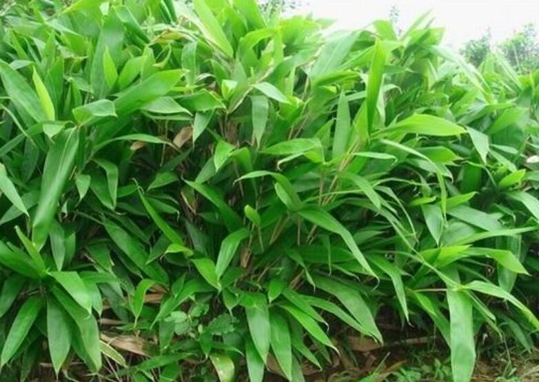 1645169461258293.jpg 2.jpg