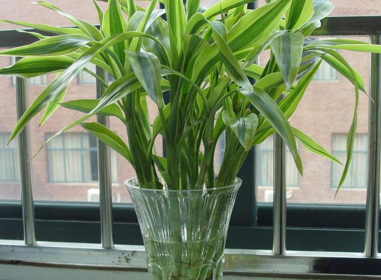 1645169477741838.jpg 3.jpg