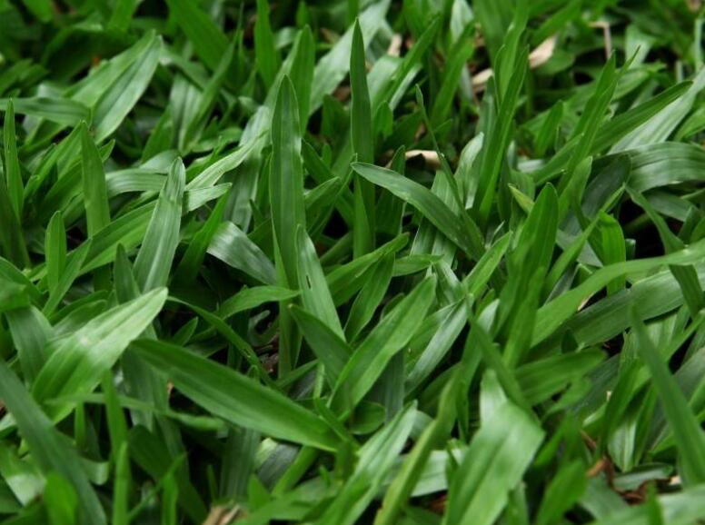 1645439762667183.jpg 3.jpg