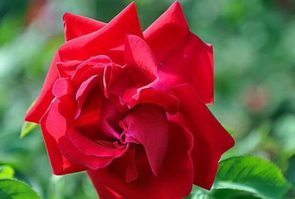 1646653674681486.jpg 1646653674681486.jpg