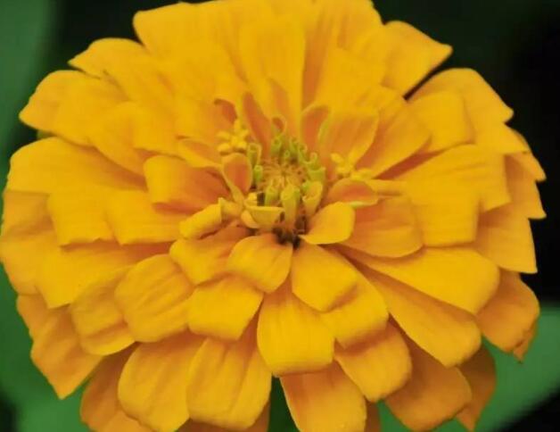 1646711098246570.jpg 1646711098246570.jpg