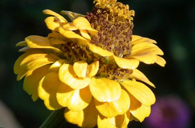 1646711098254708.jpg 1646711098254708.jpg