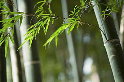 1646738780471803.jpg 1646738780471803.jpg