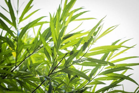 1646741806362705.jpg 1646741806362705.jpg