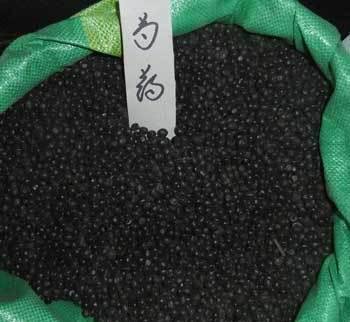 1646800247636377.jpg 1646800247636377.jpg